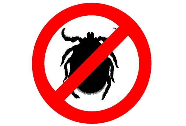 Buscador de garrapatas para nuestro móvil 1 garrapa