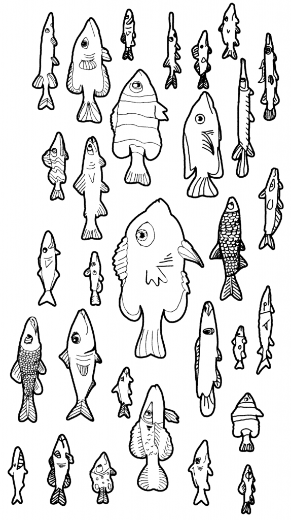 dibujo de muchos peces distintos para pintar