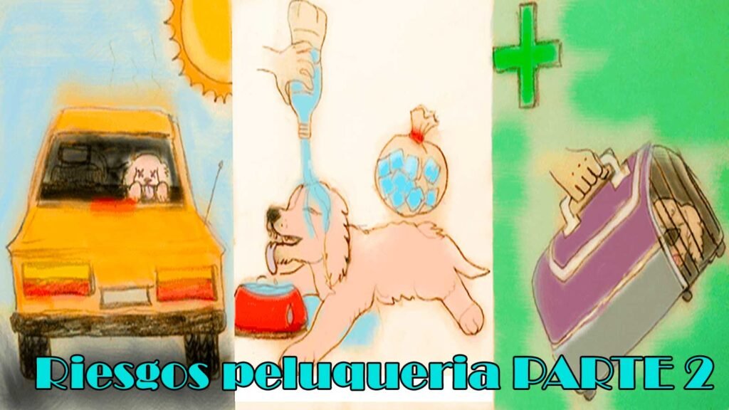 peluqueria canina