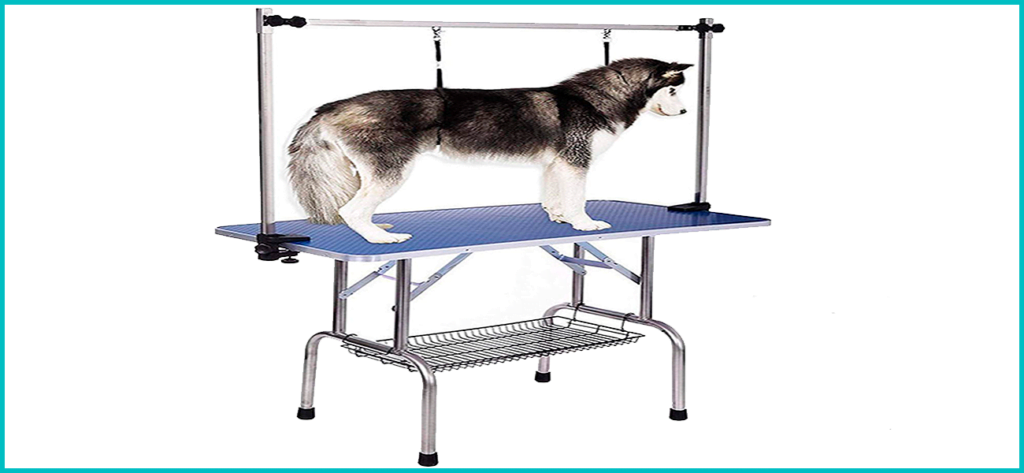 mesa de peluqueria para perro grande, husky siberiano atado a mesa