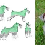 schnauzer miniatura sonrisa