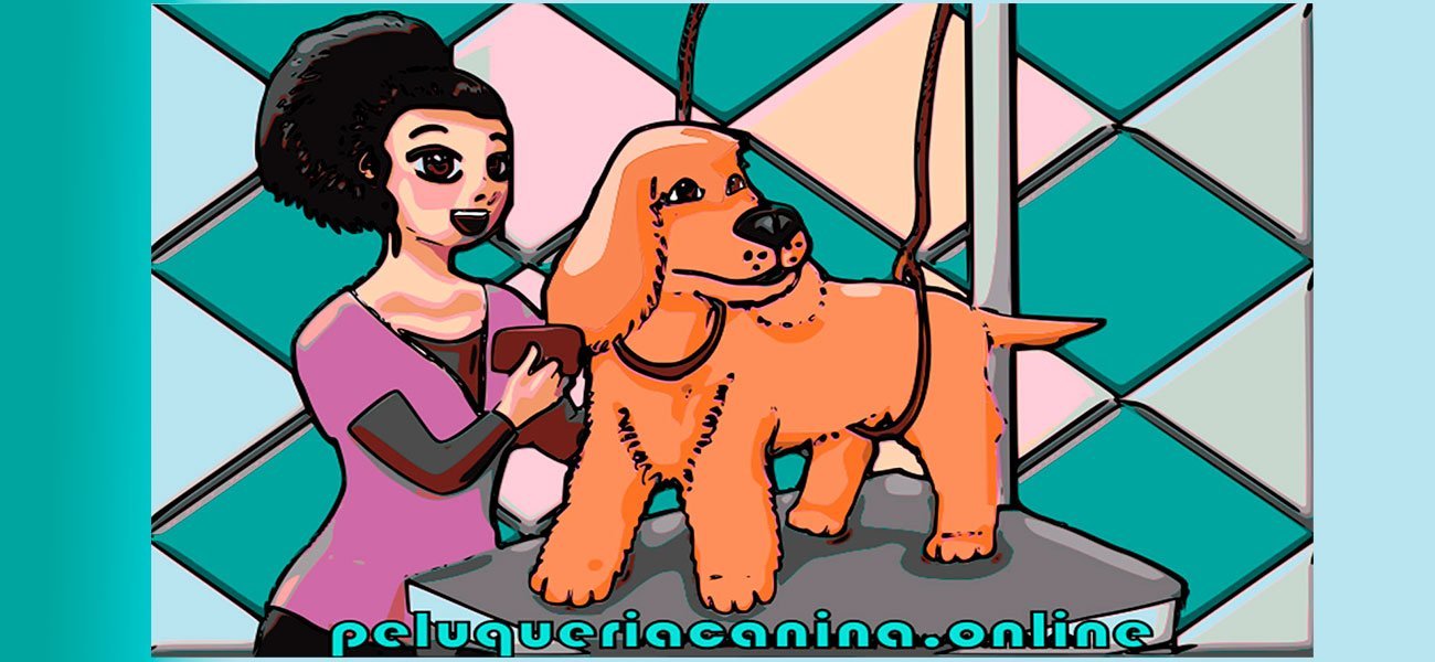 dibujo de mujer peinando perro en mesa de peluqueria