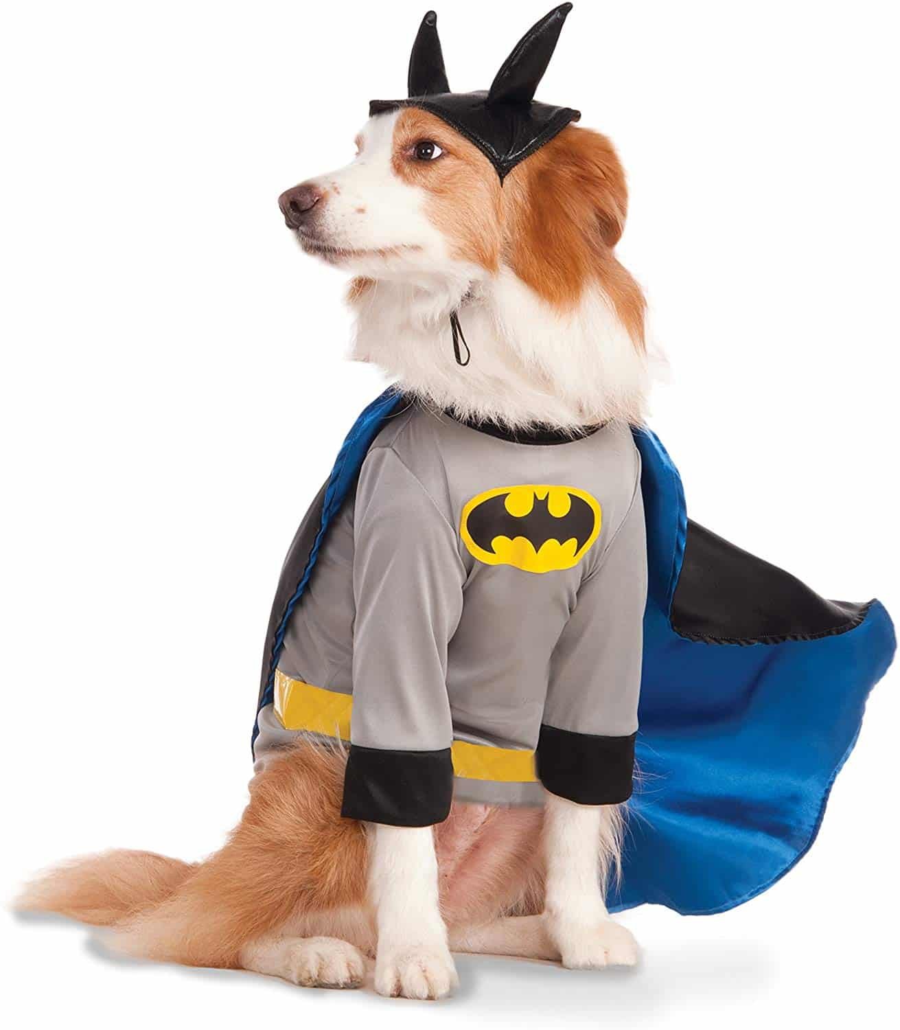Disfraz de Batman oficial para perros