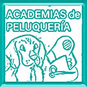 practicas presenciales peluquería canina