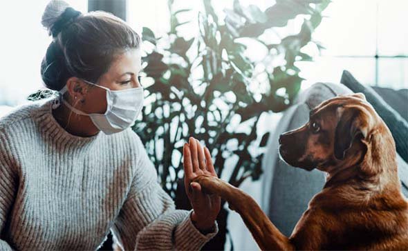 El MITO de las razas de perros HIPOALERGENICAS 1 mujer con mascarilla y perro