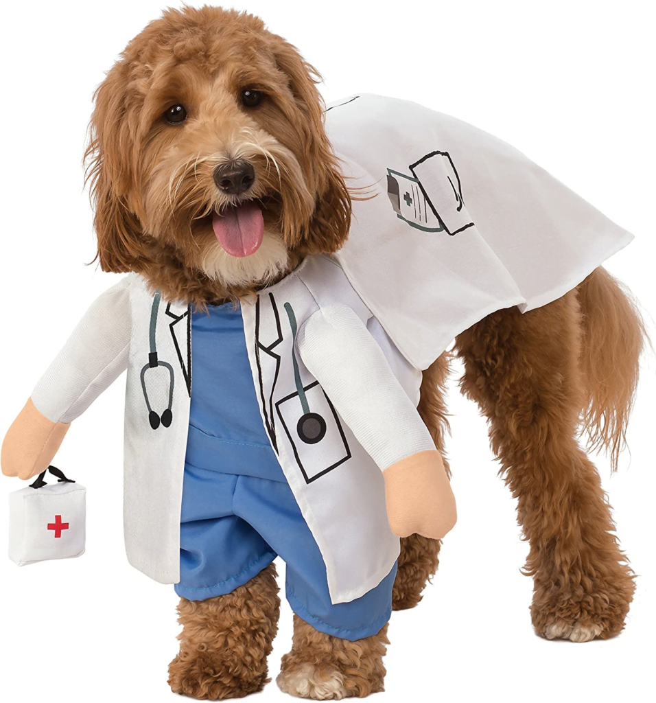 disfraz de doctor perro gato veterinario halloween