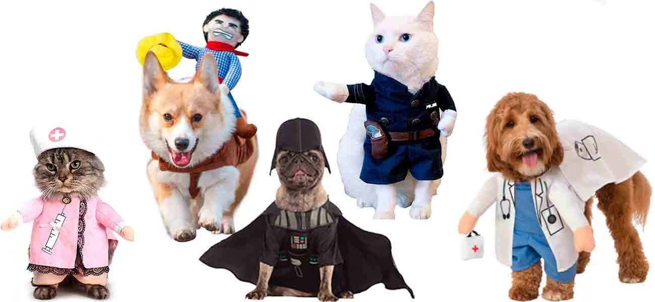 Disfraces para mascotas