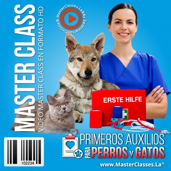 Curso de primeros auxilios para perros y gatos