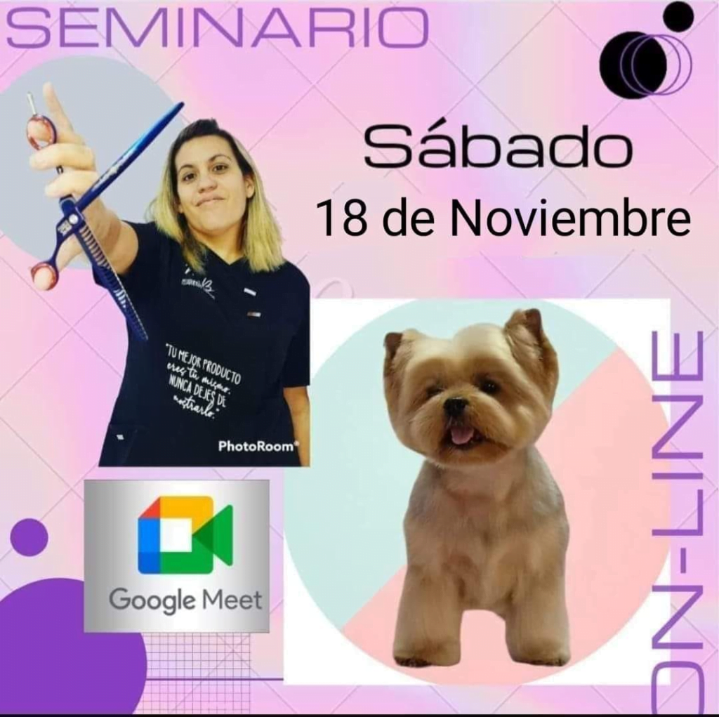 Próximos seminarios de peluquería canina en España 5 image 20