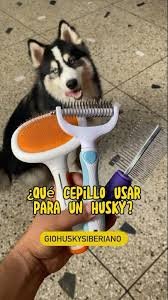 Trimador Cepillo para retirar pelo muerto en mantos cortos.