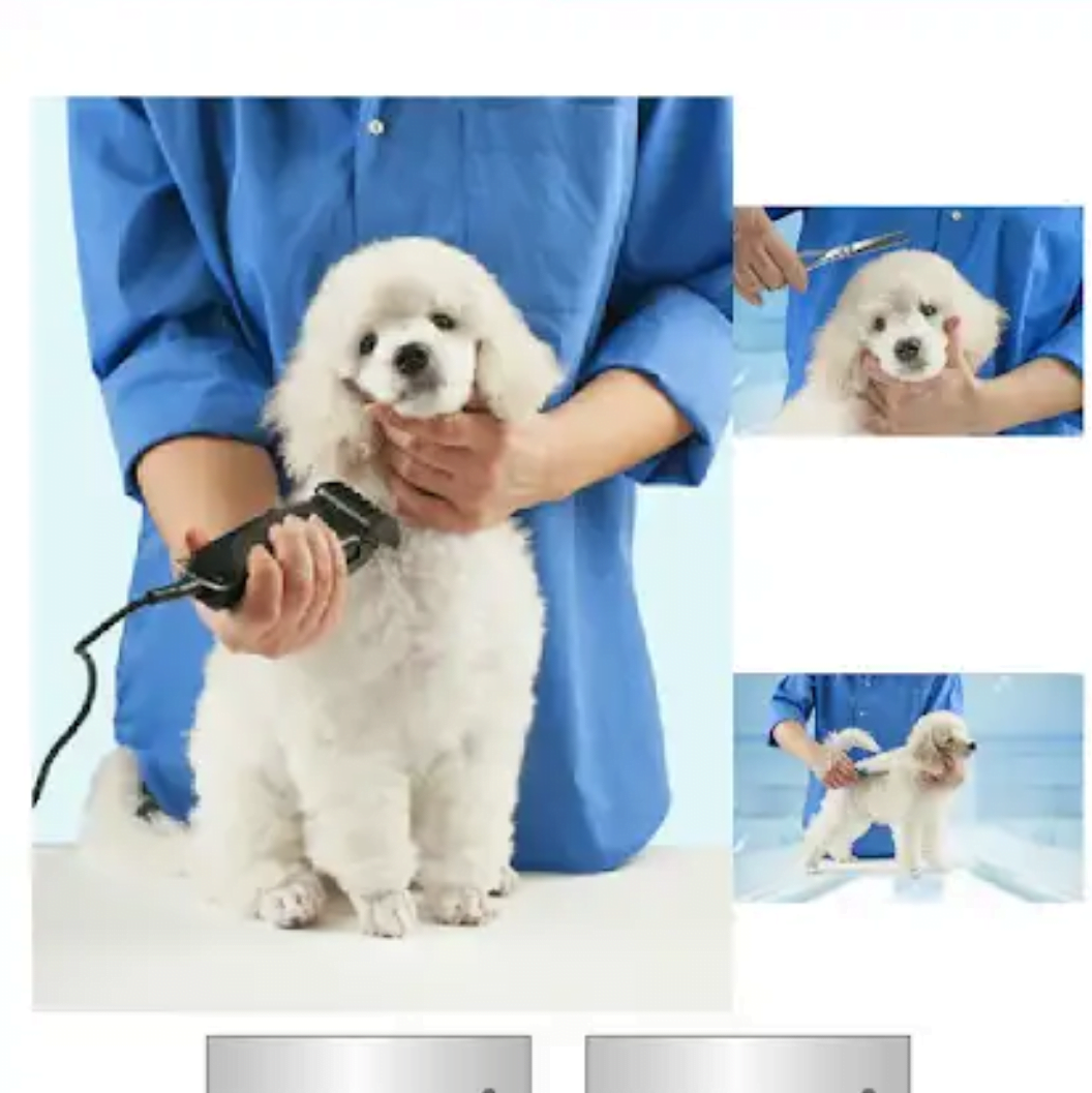 Acicalamiento de animales, incluyendo baño, cepillado y cuidado general. Pet grooming