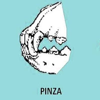 Mordida en pinza perro