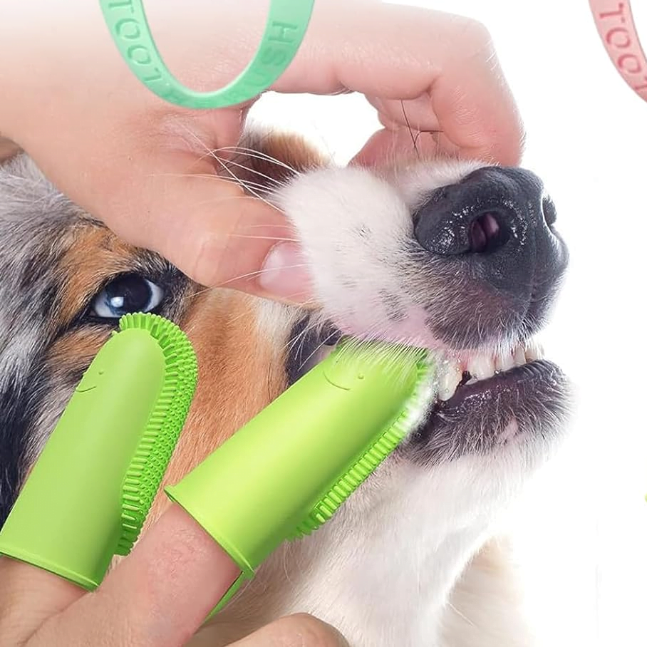 glosario de peluqueria canina