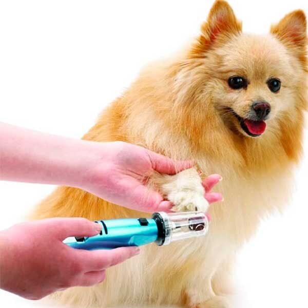 Corte de uñas Proceso de recorte y limado de las uñas de un perro.