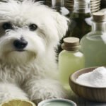 champú casero para perros
