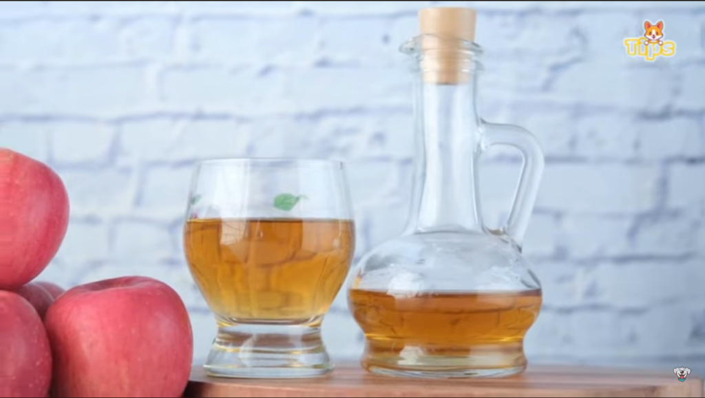 champú casero perros de bicarbonato y vinagre